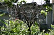 Expertiza Vulturilor 78A