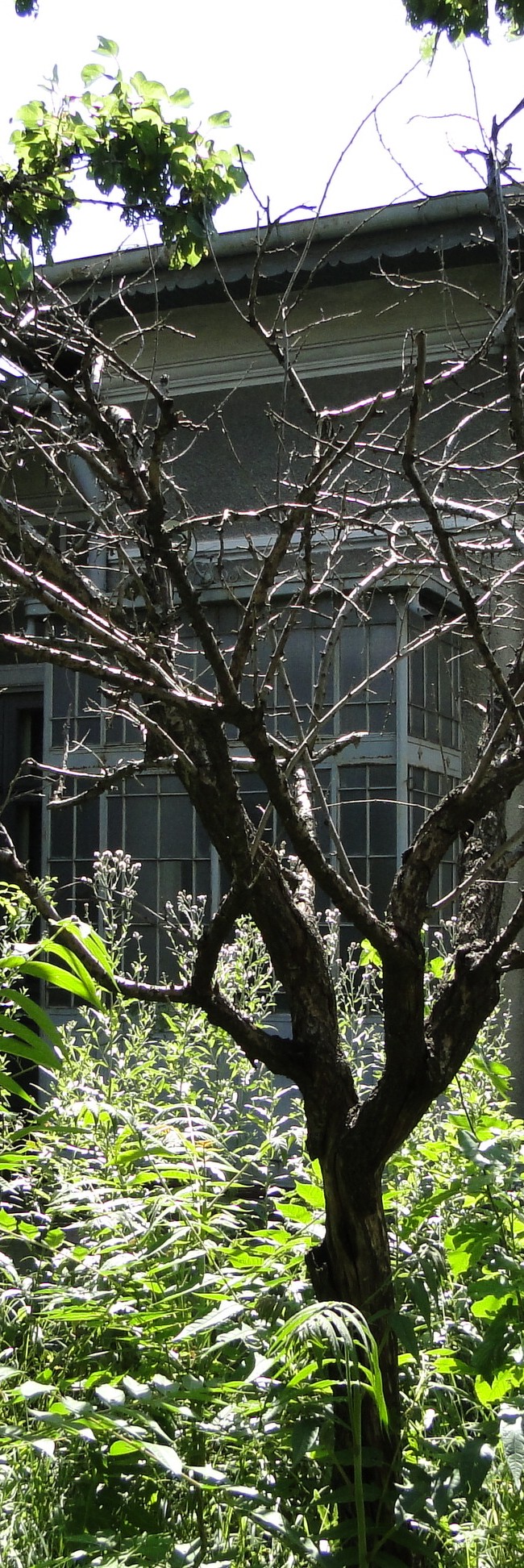 Expertiza Vulturilor 78A