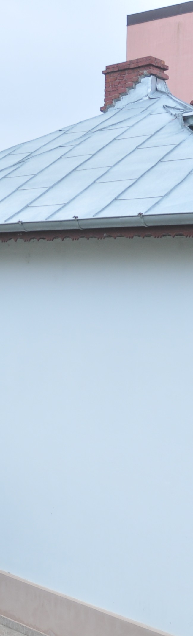 Expertiza Sabuitei nr.8